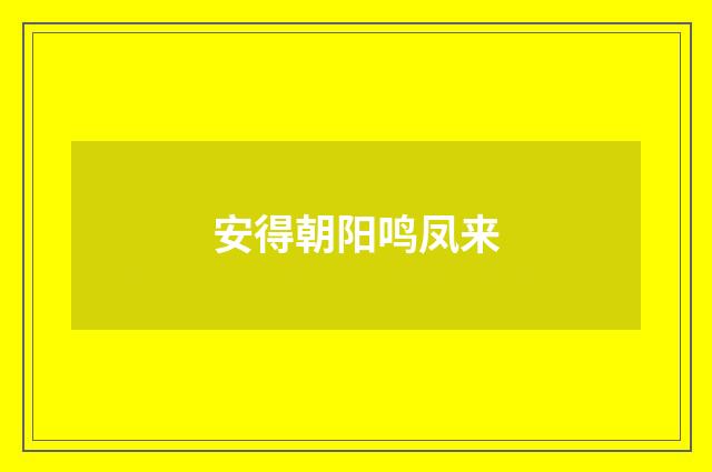 安得朝阳鸣凤来