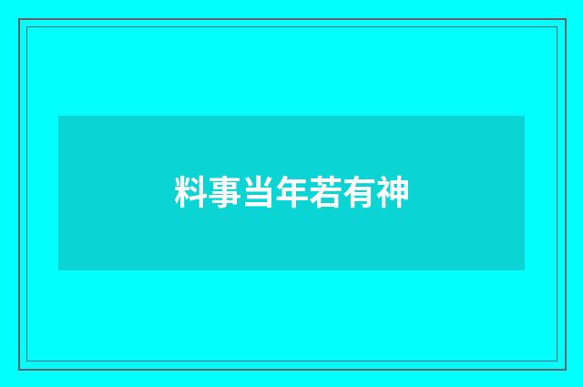 料事当年若有神