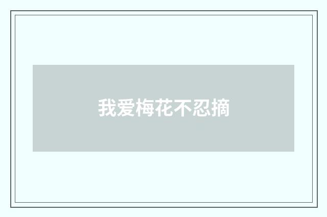 我爱梅花不忍摘