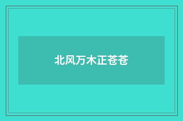 北风万木正苍苍