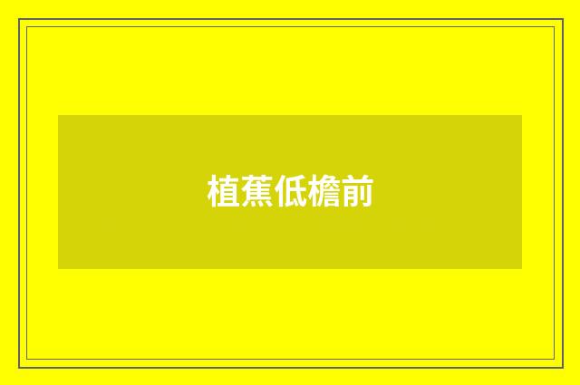 植蕉低檐前