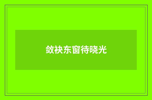 敛袂东窗待晓光