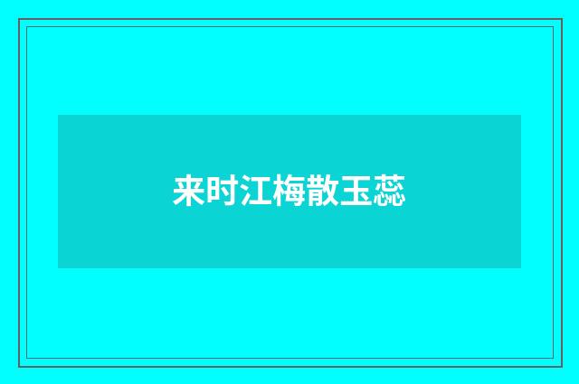 来时江梅散玉蕊