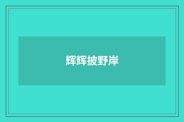辉辉披野岸