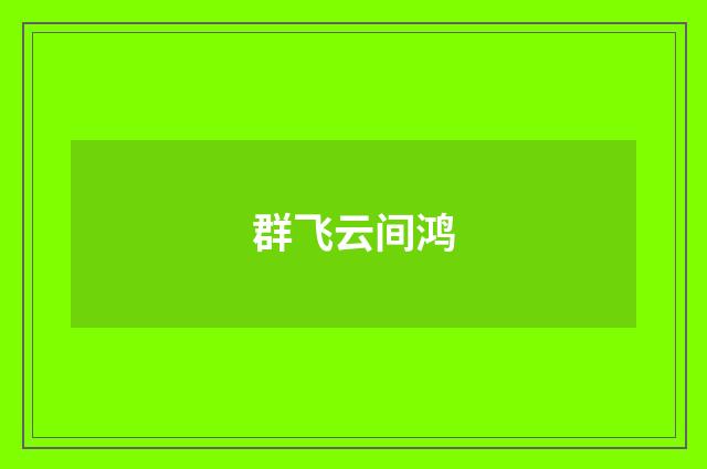 群飞云间鸿