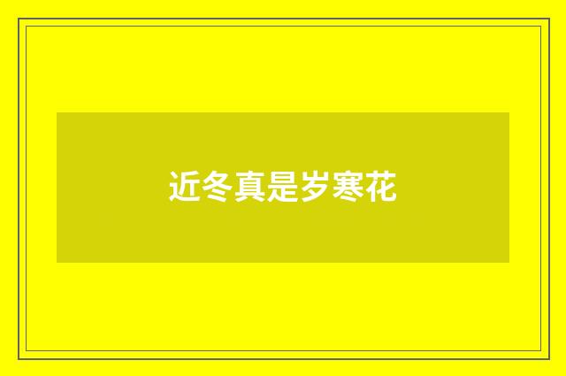 近冬真是岁寒花
