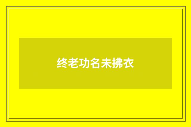 终老功名未拂衣