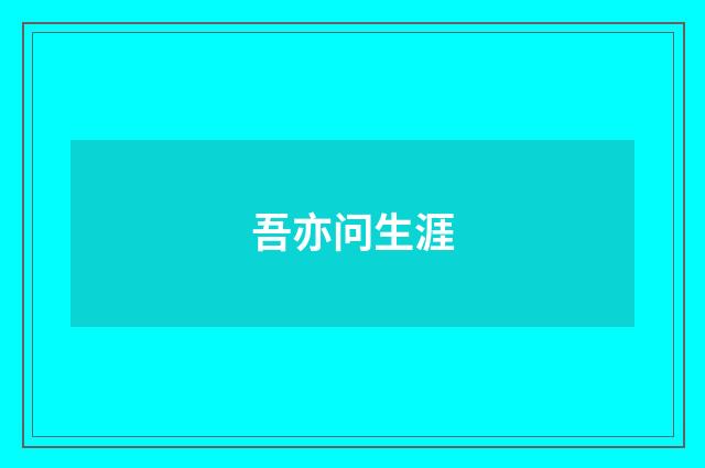 吾亦问生涯