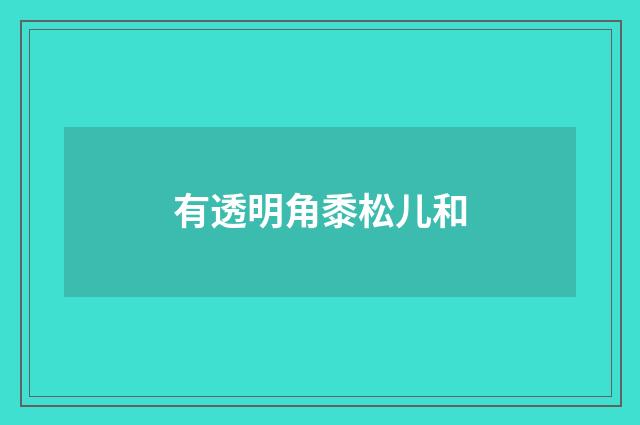 有透明角黍松儿和
