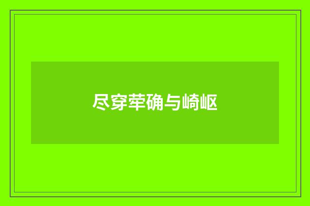尽穿荦确与崎岖