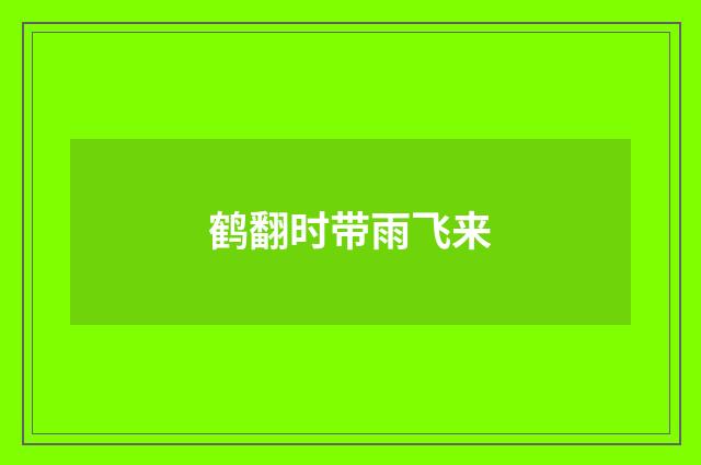 鹤翻时带雨飞来