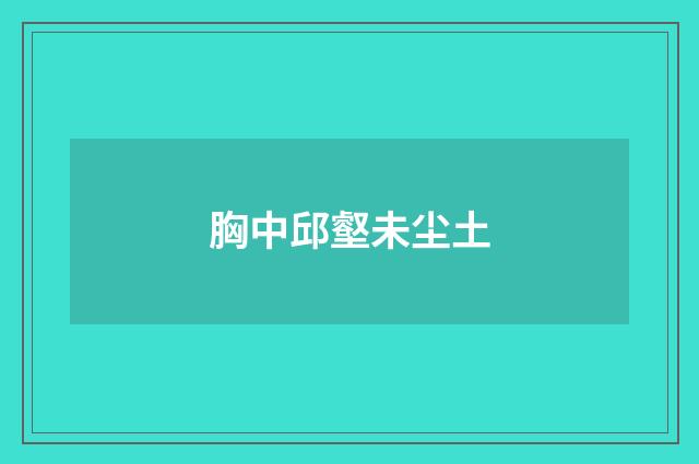 胸中邱壑未尘土