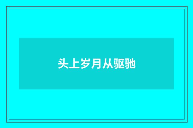 头上岁月从驱驰