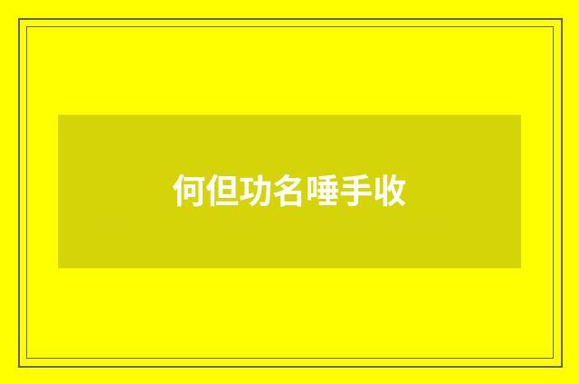何但功名唾手收