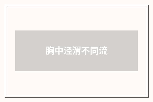 胸中泾渭不同流