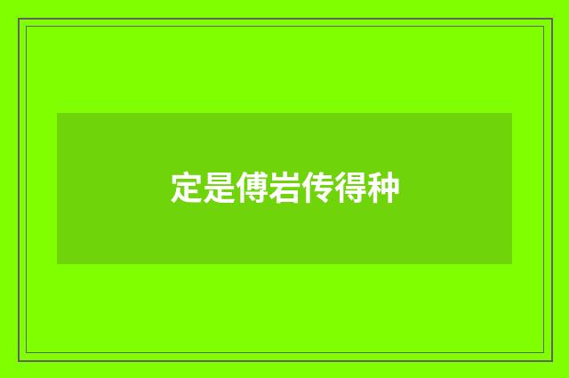 定是傅岩传得种
