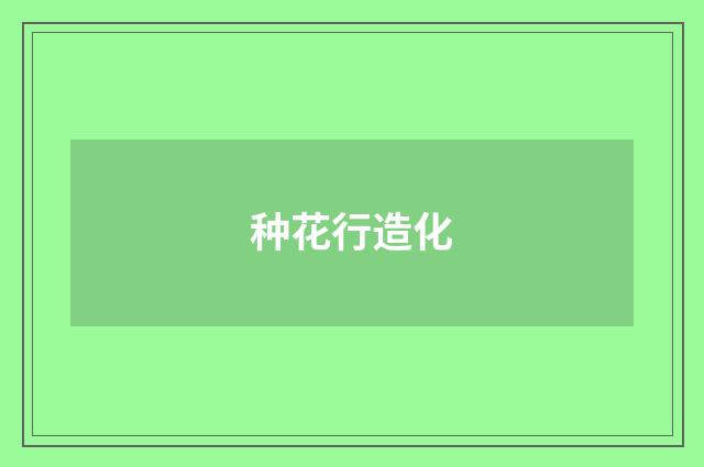 种花行造化