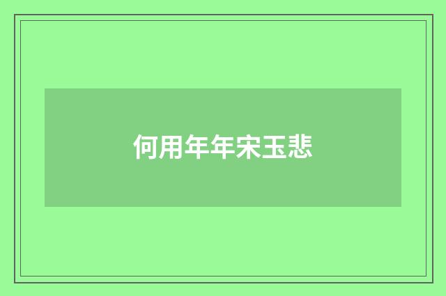 何用年年宋玉悲