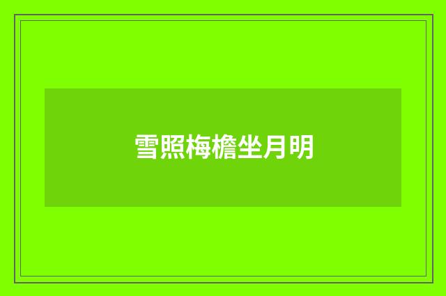 雪照梅檐坐月明