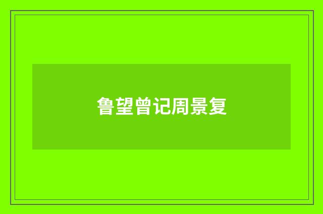鲁望曾记周景复