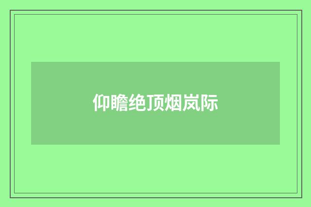 仰瞻绝顶烟岚际