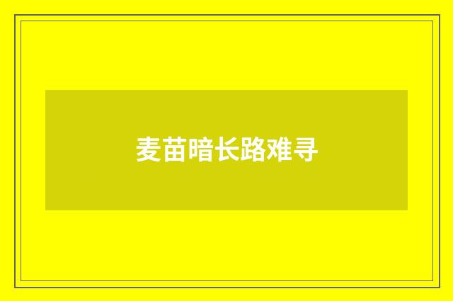 麦苗暗长路难寻