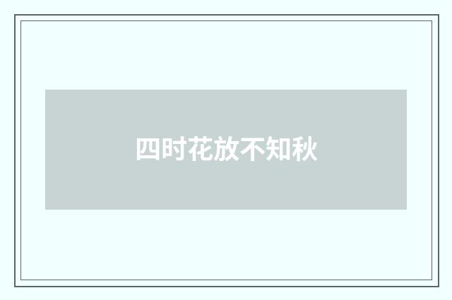 四时花放不知秋