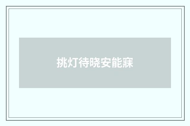 挑灯待晓安能寐