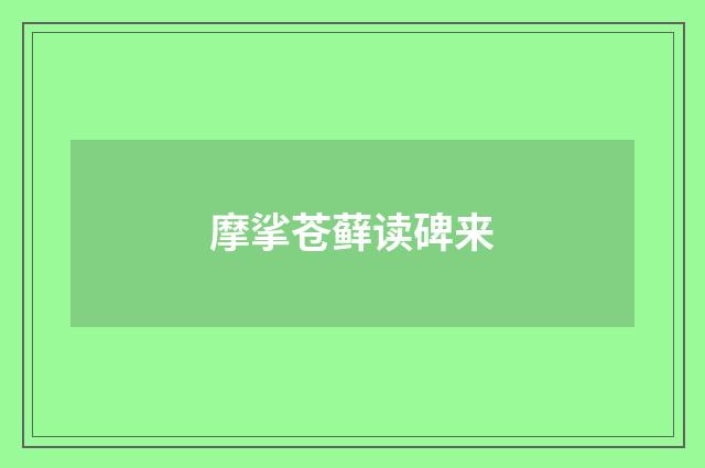摩挲苍藓读碑来