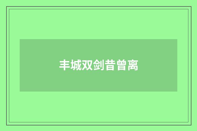 丰城双剑昔曾离