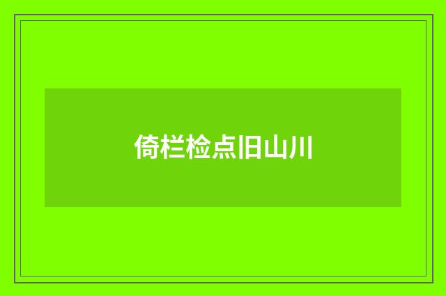 倚栏检点旧山川