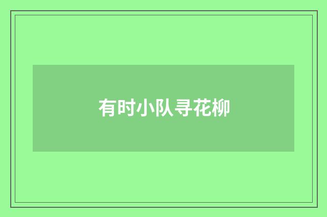 有时小队寻花柳
