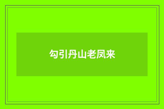 勾引丹山老凤来