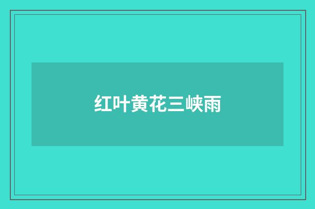 红叶黄花三峡雨
