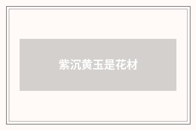 紫沉黄玉是花材