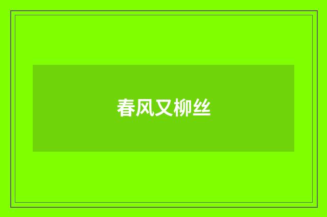 春风又柳丝