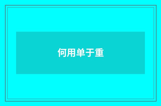 何用单于重