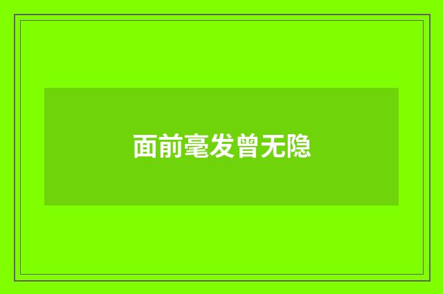 面前毫发曾无隐