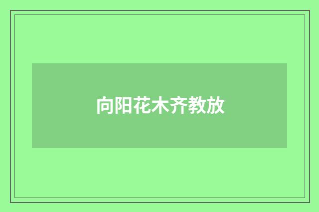 向阳花木齐教放