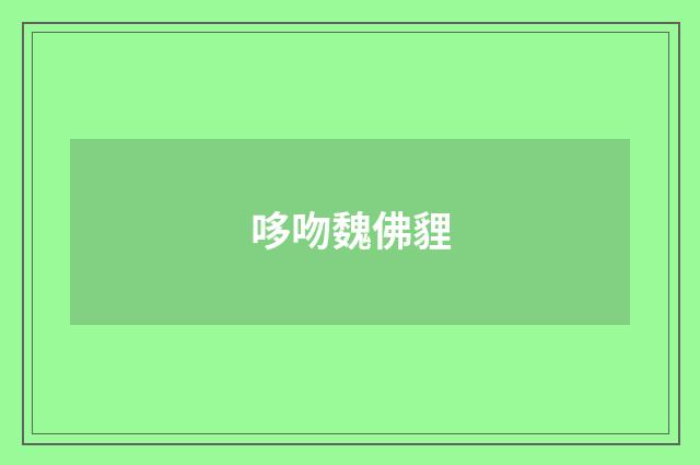 哆吻魏佛貍