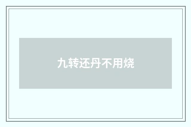 九转还丹不用烧