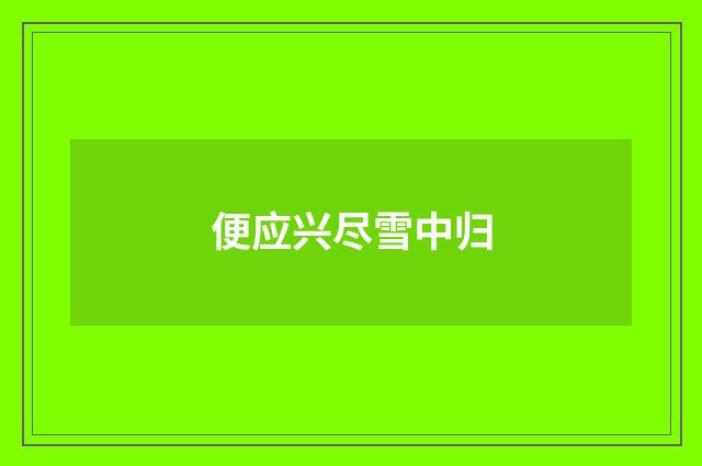 便应兴尽雪中归