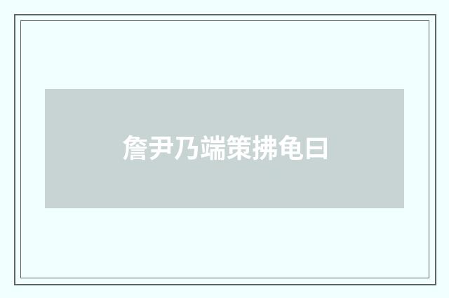 詹尹乃端策拂龟曰