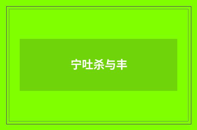 宁吐杀与丰