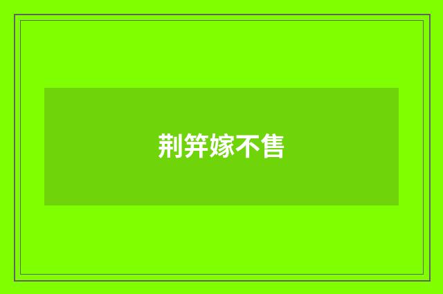 荆笄嫁不售