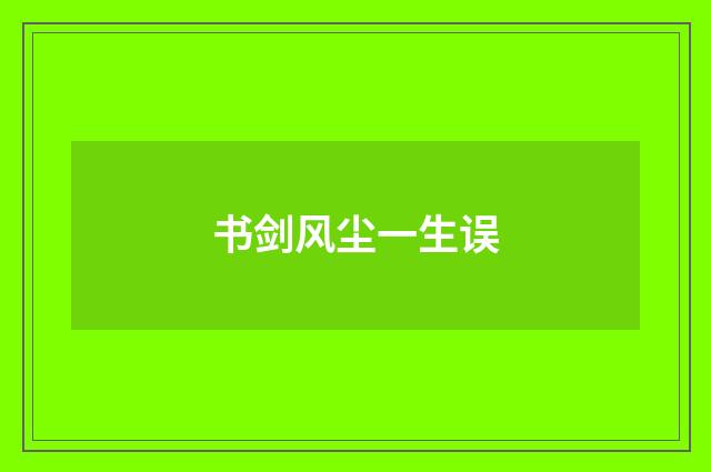 书剑风尘一生误