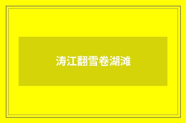 涛江翻雪卷湖滩