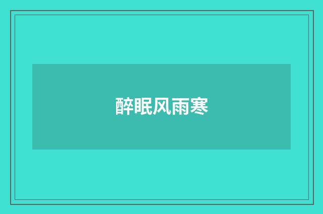 醉眠风雨寒
