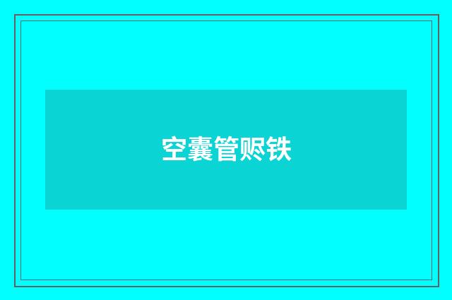 空囊管赆铁