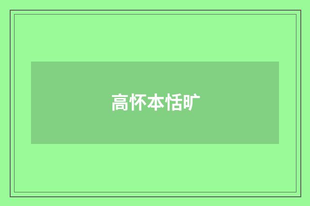 高怀本恬旷